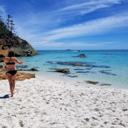 What’s Next for The Traveling Pharmacist